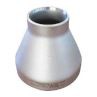 Stainless Steel Reducer